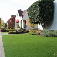 Synthetic Grass Pacolet Mills South Carolina Lawn Front