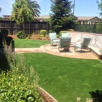 Synthetic Grass Tyro North Carolina Landscape Back Yard