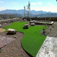 Synthetic Pet Grass Smyrna South Carolina Installation Back