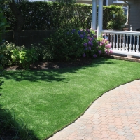 Synthetic Pet Turf Heath Springs South Carolina for Dogs