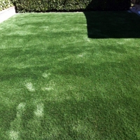 Synthetic Pet Turf Longview North Carolina for Dogs Back