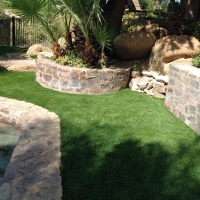 Synthetic Pet Turf Pageland South Carolina Installation Swimming