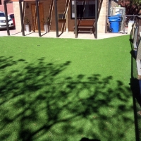 Synthetic Turf Biscoe North Carolina Lawn Back Yard