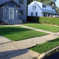 Synthetic Turf Casar North Carolina Landscape Front Yard