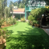 Synthetic Turf Casar North Carolina Lawn