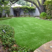 Synthetic Turf Catawba South Carolina Landscape Back Yard