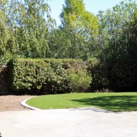 Synthetic Turf Conover North Carolina Lawn Back Yard