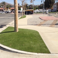 Synthetic Turf Hildebran North Carolina Landscape Commercial