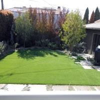 Synthetic Turf Lake Norman of Catawba North Carolina Landscape