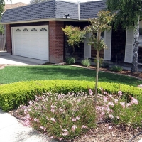 Synthetic Turf Mayo South Carolina Landscape Front Yard