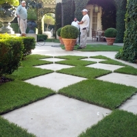 Synthetic Turf Ruby South Carolina Lawn Pavers