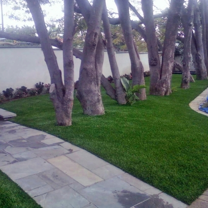 Artificial Grass Claremont North Carolina Landscape Front