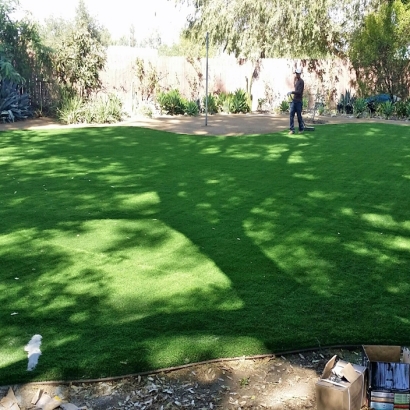 Artificial Grass Earl North Carolina Landscape Back Yard