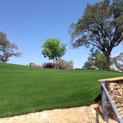 Artificial Grass Enochville North Carolina Lawn Front Yard