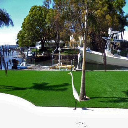 Artificial Grass Harrisburg North Carolina Landscape Back