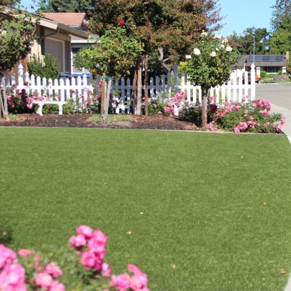 Artificial Grass Norwood North Carolina Landscape Front