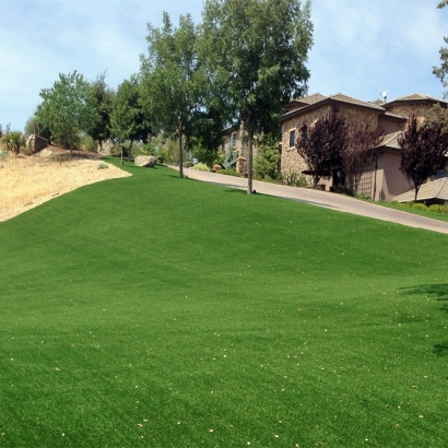 Artificial Grass Rock Hill South Carolina Lawn Front Yard