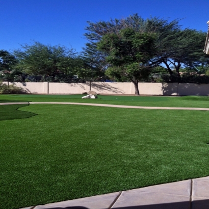 Artificial Grass Unionville North Carolina Landscape Front