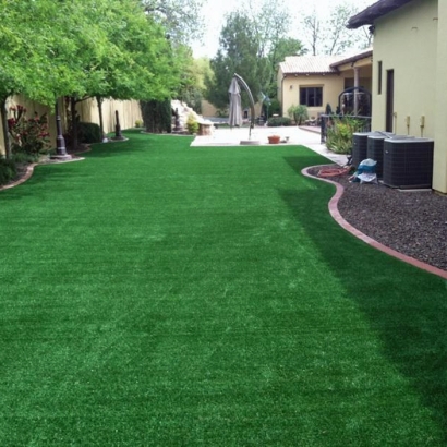 Artificial Turf Hemby Bridge North Carolina Lawn Back Yard