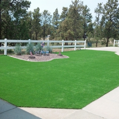 Artificial Turf Lake Park North Carolina Lawn Front Yard