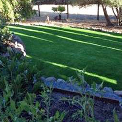 Artificial Turf Lancaster Mill South Carolina Landscape