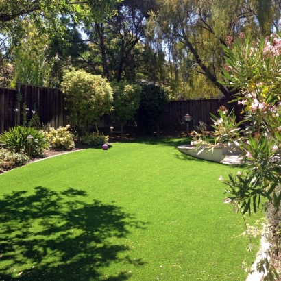 Artificial Turf Tega Cay South Carolina Lawn Back Yard