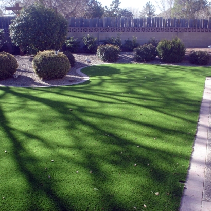 Fake Grass Boger City North Carolina Landscape Front Yard