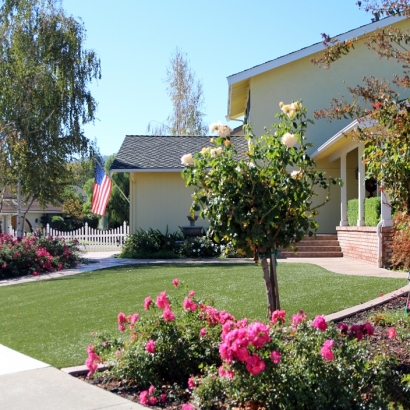 Fake Grass Eureka Mill South Carolina Lawn Front Yard