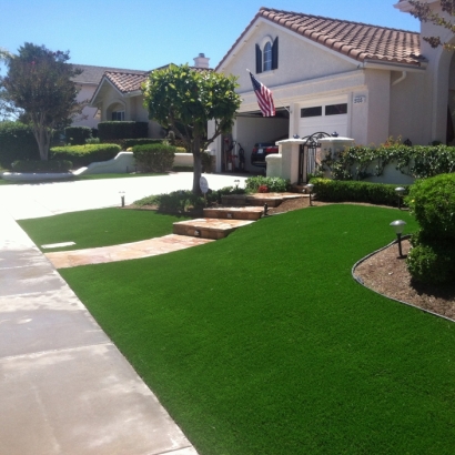 Fake Grass Lesslie South Carolina Lawn Front Yard