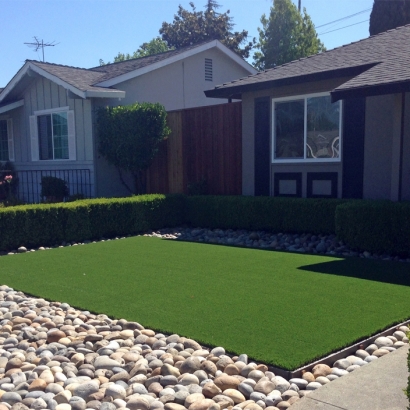 Fake Grass Riverview South Carolina Landscape Front Yard