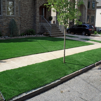 Fake Grass Wingate North Carolina Landscape Front Yard