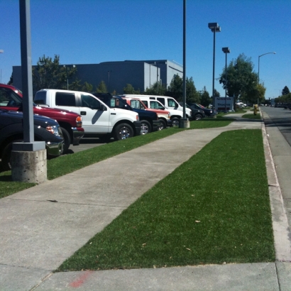 Fake Turf Lake Park North Carolina Landscape Commercial