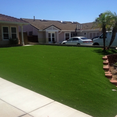 Fake Turf Locust North Carolina Landscape Front Yard