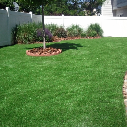 Fake Turf McAdenville North Carolina Landscape Back Yard