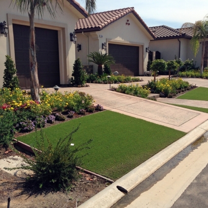 Fake Turf Newport South Carolina Landscape Front Yard