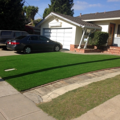 Fake Turf Saint Stephens North Carolina Landscape Front