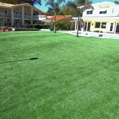 Fake Turf Tryon North Carolina Lawn Pools Commercial Landscape