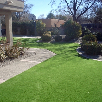 Fake Turf Weddington North Carolina Landscape Front Yard