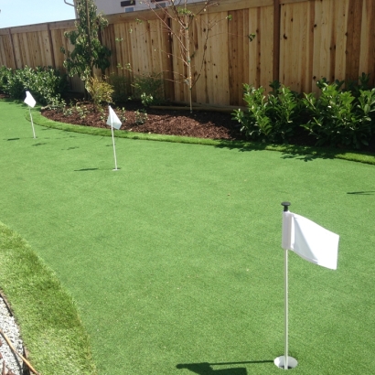 Golf Putting Greens Lesslie South Carolina Artificial Grass