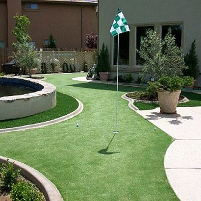 Golf Putting Greens Springdale South Carolina Synthetic Turf