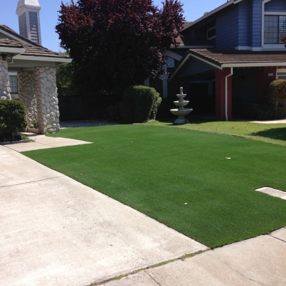 Synthetic Grass Clover South Carolina Landscape Front Yard