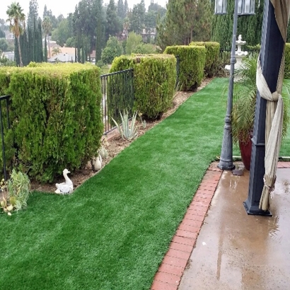 Synthetic Grass Elgin South Carolina Landscape Back Yard