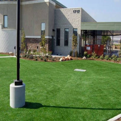 Synthetic Grass New London North Carolina Lawn Commercial