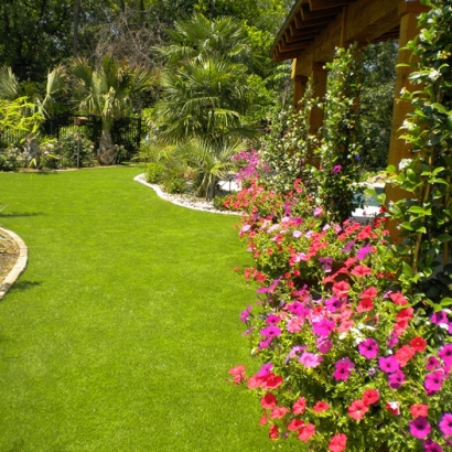 Synthetic Grass Patterson Springs North Carolina Lawn Back