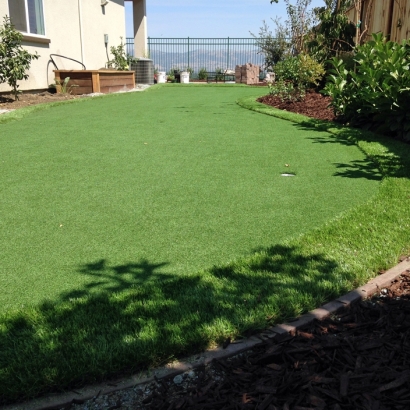 Synthetic Grass Waxhaw North Carolina Landscape Back Yard