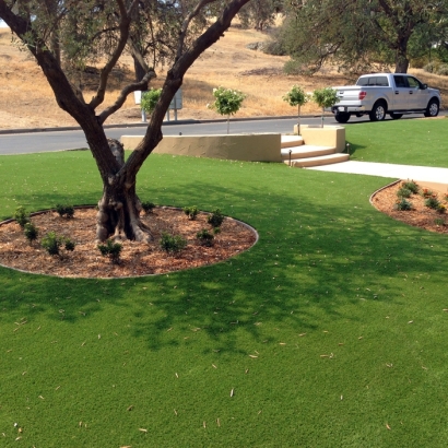 Synthetic Turf Burnsville North Carolina Landscape Front