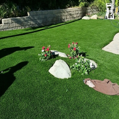 Synthetic Turf Elgin South Carolina Landscape Front Yard