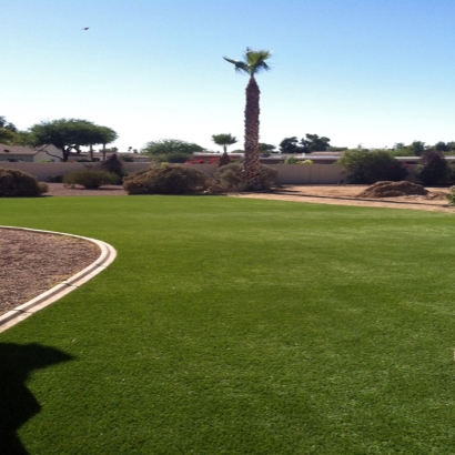 Synthetic Turf Fort Mill South Carolina Landscape Back