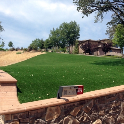 Synthetic Turf Hickory Grove South Carolina Landscape Front