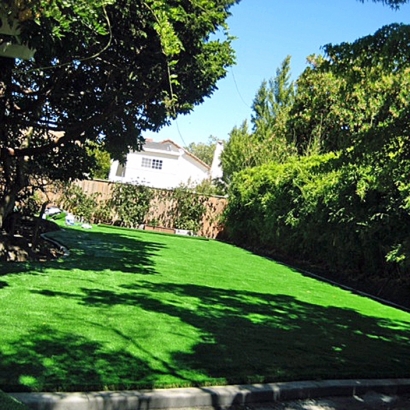 Synthetic Turf Spencer Mountain North Carolina Lawn Back